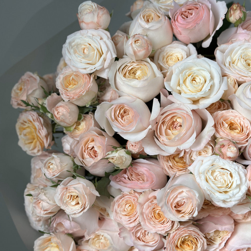 Blush Rosemist