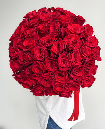 Scarlet Noir