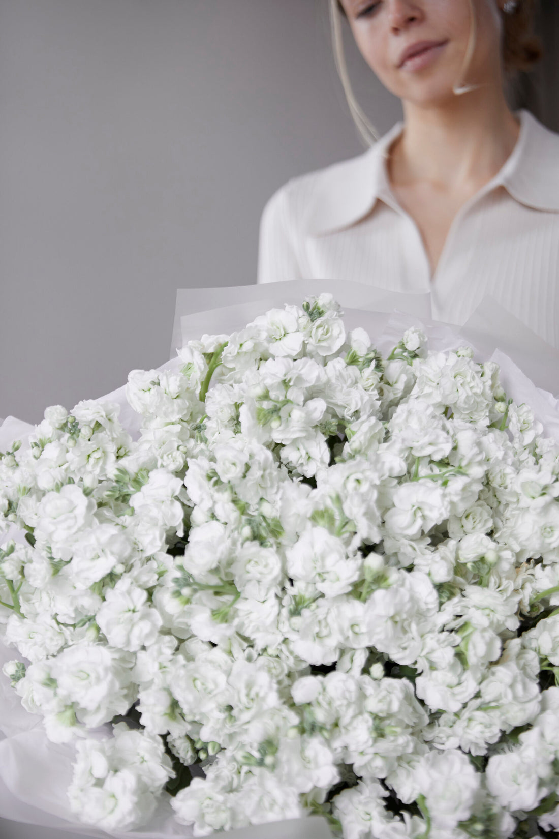 Soft Elegance