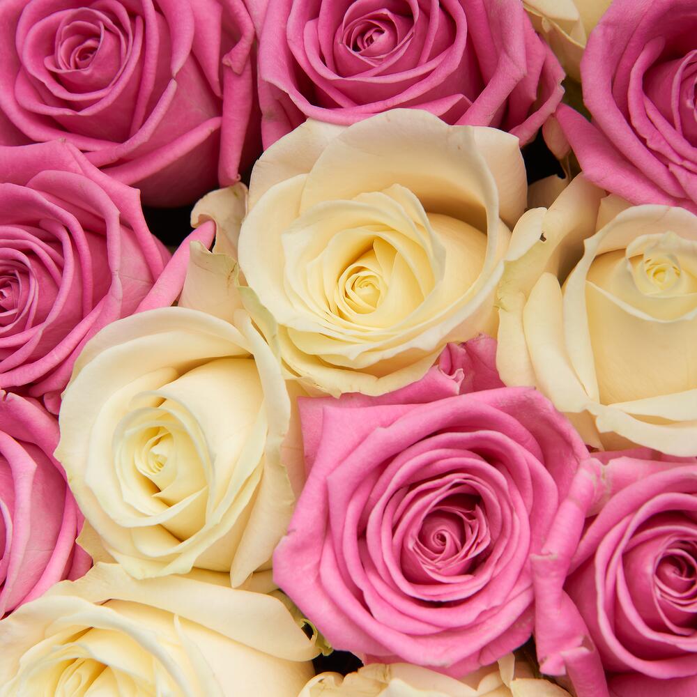 Rosemilk