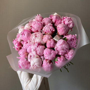 Pink Veil