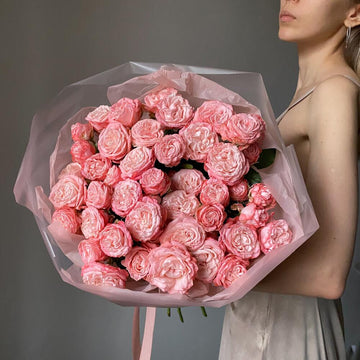 Soft Elegance