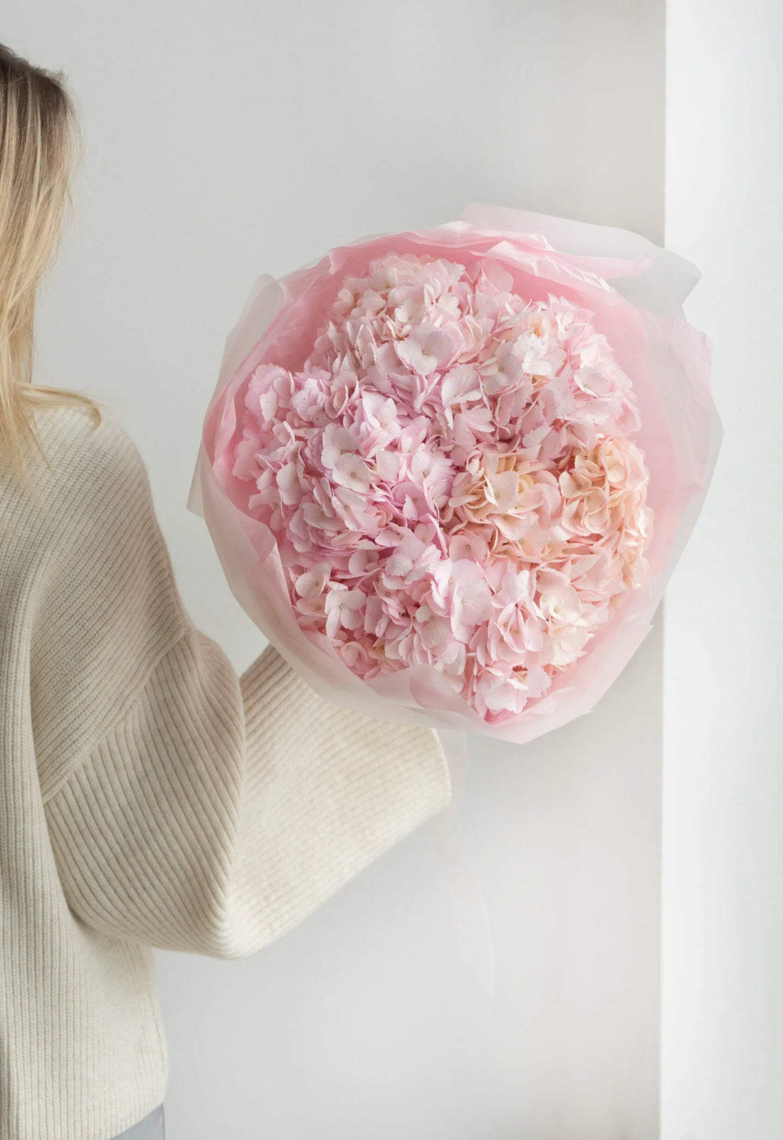 Belle Hydrangea