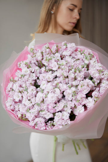 Pink Muse