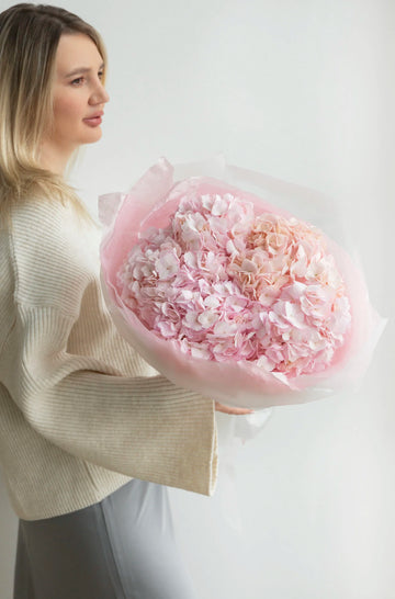 Belle Hydrangea