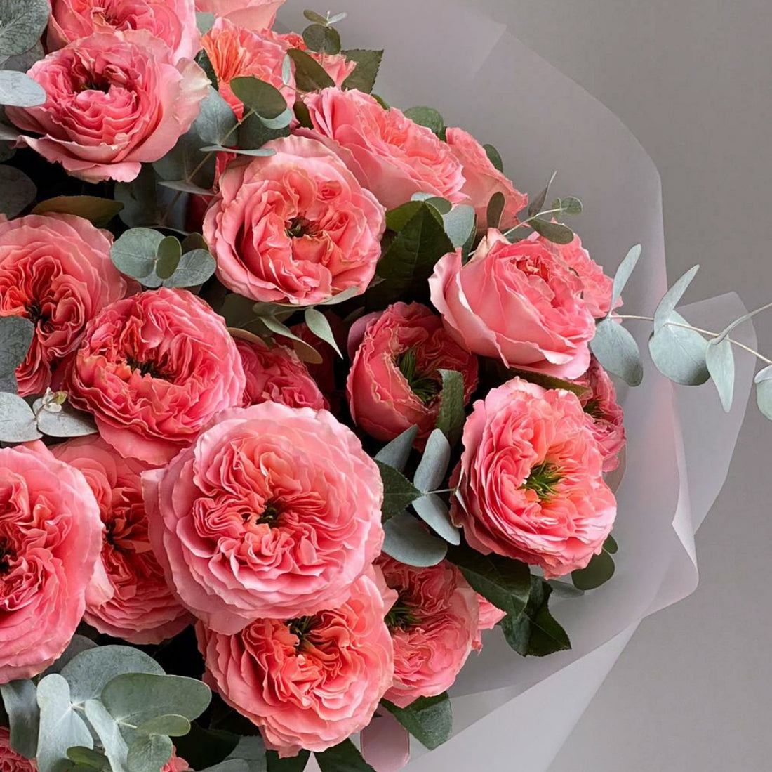 Blush Elegance