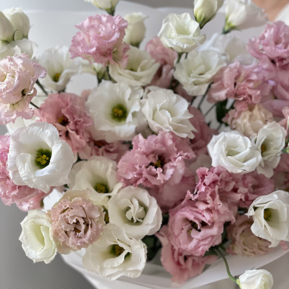 Pink & Pearl