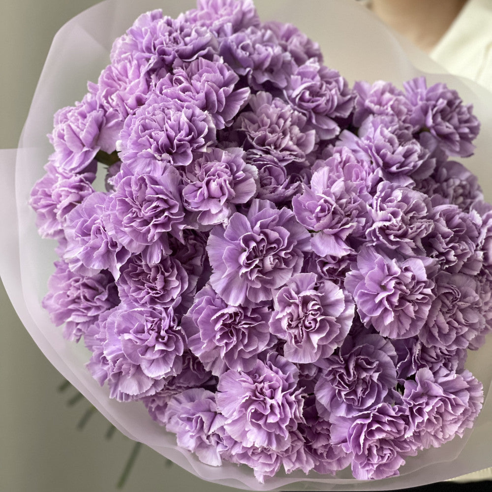 Lavender Velvet